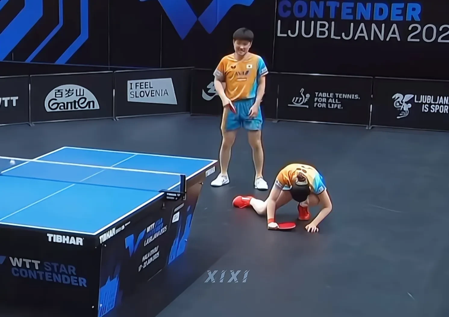 开云体育app-波兰队碾压中国队,张本智和状态火热 第1张 开云体育app-波兰队碾压中国队,张本智和状态火热 第1张