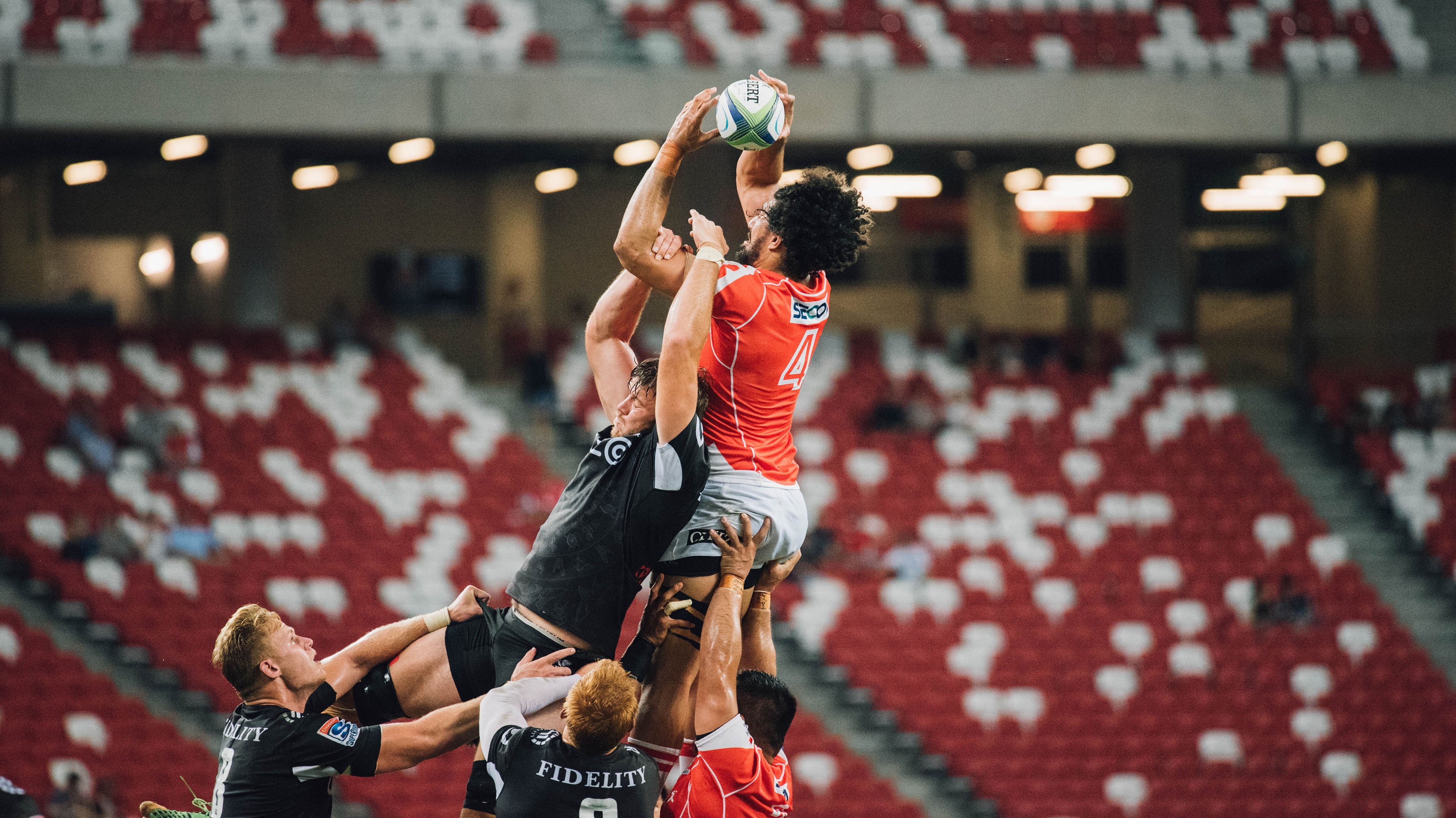 开云下载-当华南虎遇上蜂群，塔图姆的统治力与篮球的全球对话  第2张